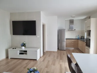 Na prenájom 2-izbový byt, 60 m², Nitra, Dolnohorská