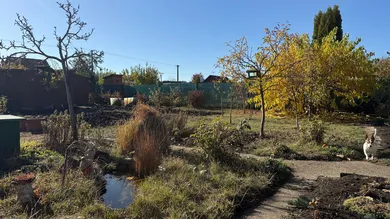 Na predaj rekreačný dom, 397 m², Levice