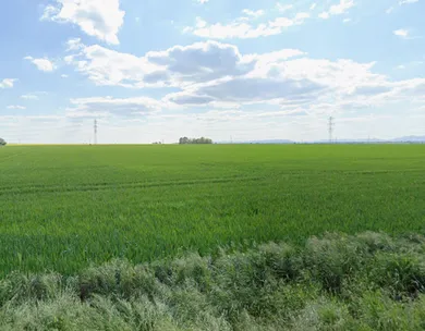 Na predaj pozemok, Veľké Kostoľany