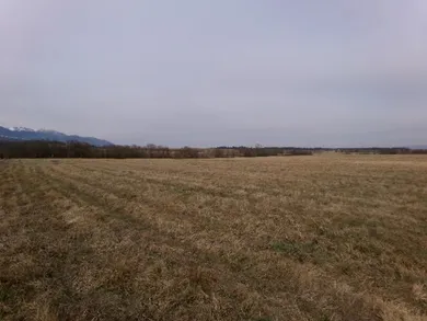 Na predaj pozemok, Veľký Slavkov