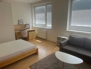 Mieszkania na wynajem, 1-pokojowe, Bratislava-Petržalka · €400
