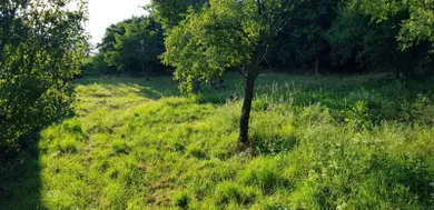 Pozemky na predaj, Nitra · €160
