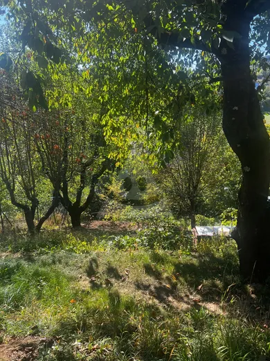 Na predaj pozemok, Banská Bystrica, Podlavice