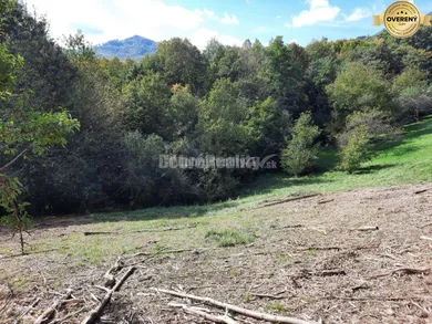 Na predaj pozemok, Nová Baňa, Viničná cesta