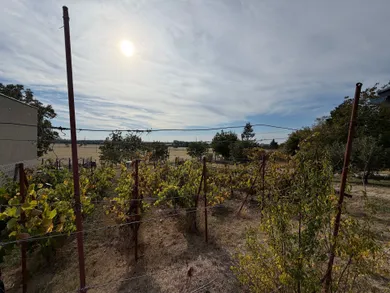 Na predaj pozemok, 679 m², Levice, Staré Levice