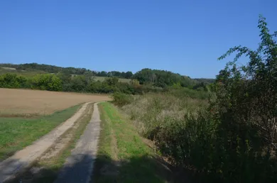 Na predaj pozemok, Krškany