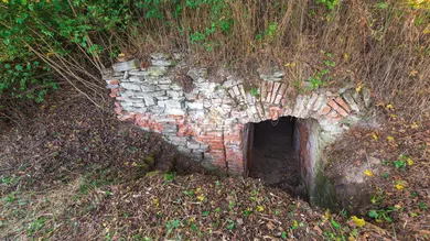 Na predaj pozemok, Viničky