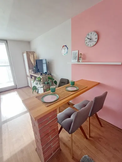 Na prenájom 1-izbový byt, 40 m², Bratislava-Nové Mesto, Nová Rožňavská