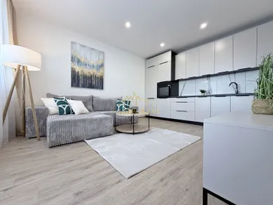 Byty na prenájom 2-izbový, Košice-Juh · €750
