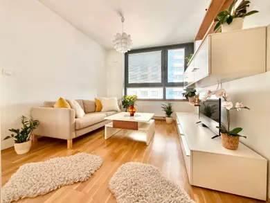 Na prenájom 1-izbový byt, 46 m², Bratislava-Ružinov, Plynárenská