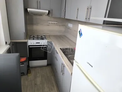 Na prenájom 2-izbový byt, 46 m², Holíč, SNP