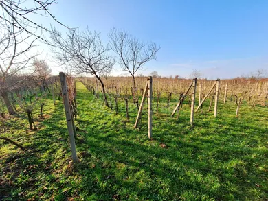 Działki na sprzedaż, Vráble · €68 000