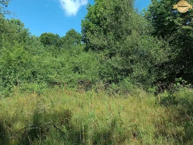 Na predaj pozemok, Hrabičov