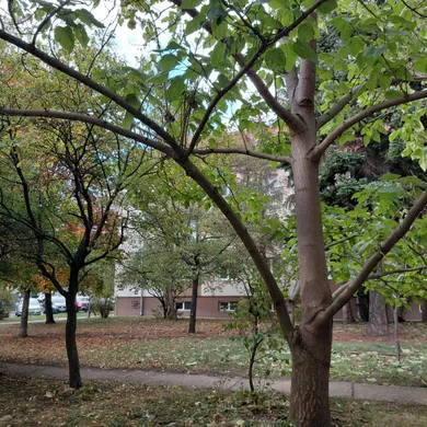 Byty na predaj 2-izbový, Pezinok · €206 000