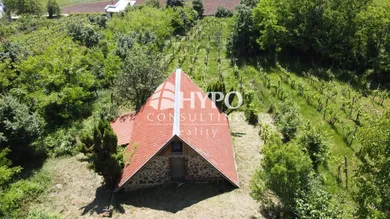 Na predaj 2-izbový rekreačný dom, 609 m², Vinica