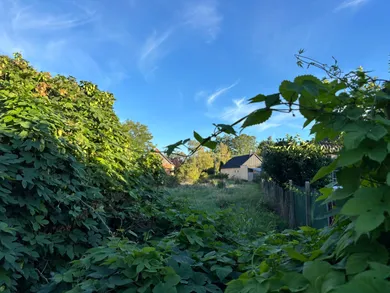 Na predaj pozemok, 210 m², Hrubá Borša, Hlavná ulica