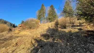 Na predaj pozemok, Čremošné