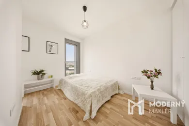 Na prenájom 1-izbový byt, 40 m², Bratislava-Staré Mesto, Bottova ulica