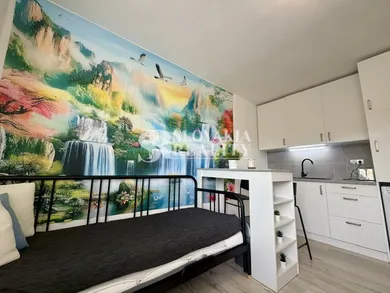 Byty na prenájom 1-izbový, Nitra · €450