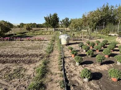 Eladó telkek, Sereď · €32 500