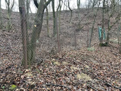 Na predaj pozemok, 820 m², Bratislava-Devínska Nová Ves, Zavadilova