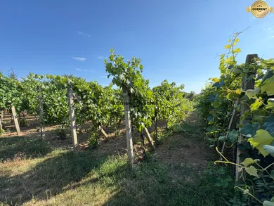 Na predaj pozemok v Levice · €29 900 · Pôvodný stav