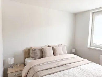 Na prenájom 2-izbový byt, 55 m², Trnava, Gejzu Dusíka