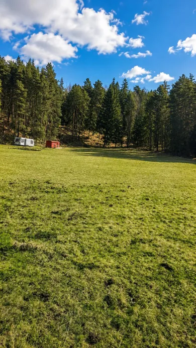 Na predaj pozemok, Háj