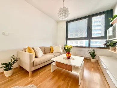 Na prenájom 1-izbový byt, 46 m², Bratislava-Ružinov, Plynárenská