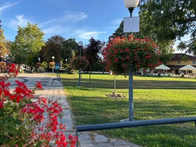 Na predaj pozemok, 210 m², Hrubá Borša, Hlavná ulica