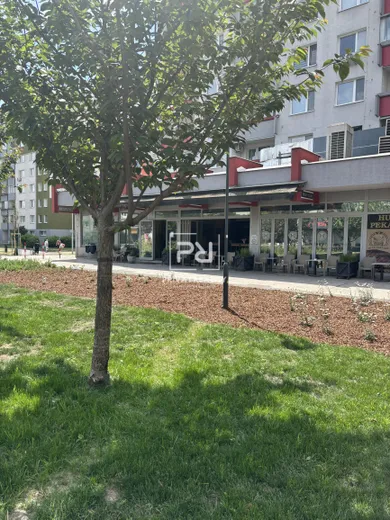 Na predaj komerčné, Bratislava-Vrakuňa, Rajecká