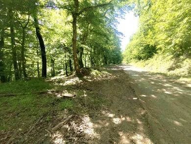 Na predaj pozemok, Vinné