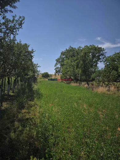 Na predaj dom, 300 m², Štefanov