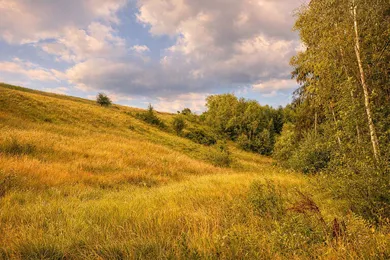 Na predaj pozemok, 166 m², Čierny Balog, Dobroč