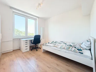 Na prenájom 3-izbový byt, 80 m², Košice-Staré Mesto, Letná