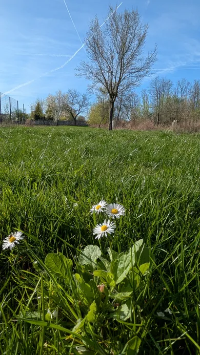 Na predaj pozemok, 80 m², Bílkove Humence