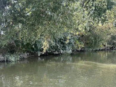 Na predaj pozemok, Jahodná