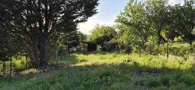 Na predaj pozemok, Nitra, Šindolka