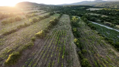 Pozemky na predaj, Pezinok · €38 289