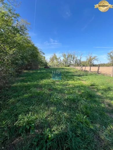 Na predaj pozemok, 250 m², Kopčany