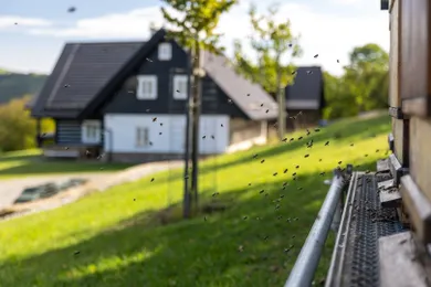 Na predaj rekreačný dom, 300 m², Vrbovce