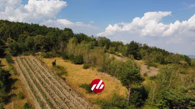 Na predaj pozemok, 200 m², Svätý Jur