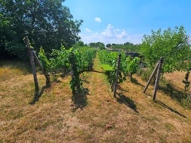 Na predaj 4-izbový dom, 113 m², Skalica