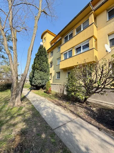 Na prenájom 2-izbový byt, 59 m², Dunajská Streda, Záhradnícka