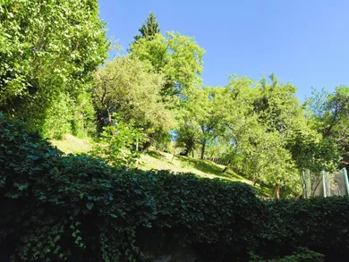 Na predaj dom, 278 m², Banská Bystrica, Kollárova