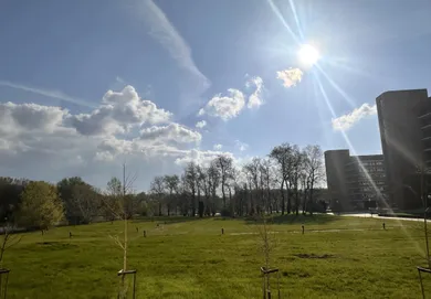 Na prenájom komerčné, 93 m², Bratislava-Petržalka, Antolská