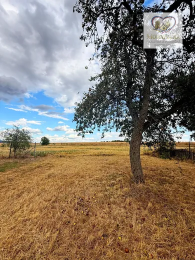 Na predaj pozemok, 82 m², Zlaté Moravce, Palárikova