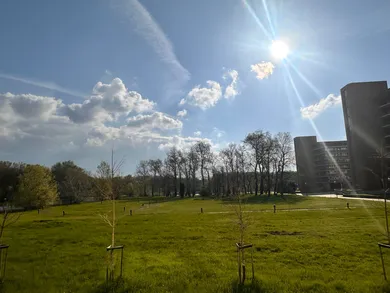 Na prenájom komerčné v Bratislava-Petržalka · €930 · Novostavba