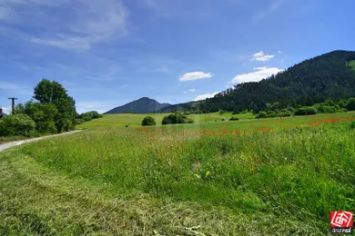 Na predaj pozemok, Lazisko
