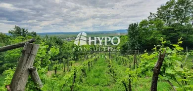 Na predaj 2-izbový rekreačný dom, 609 m², Vinica